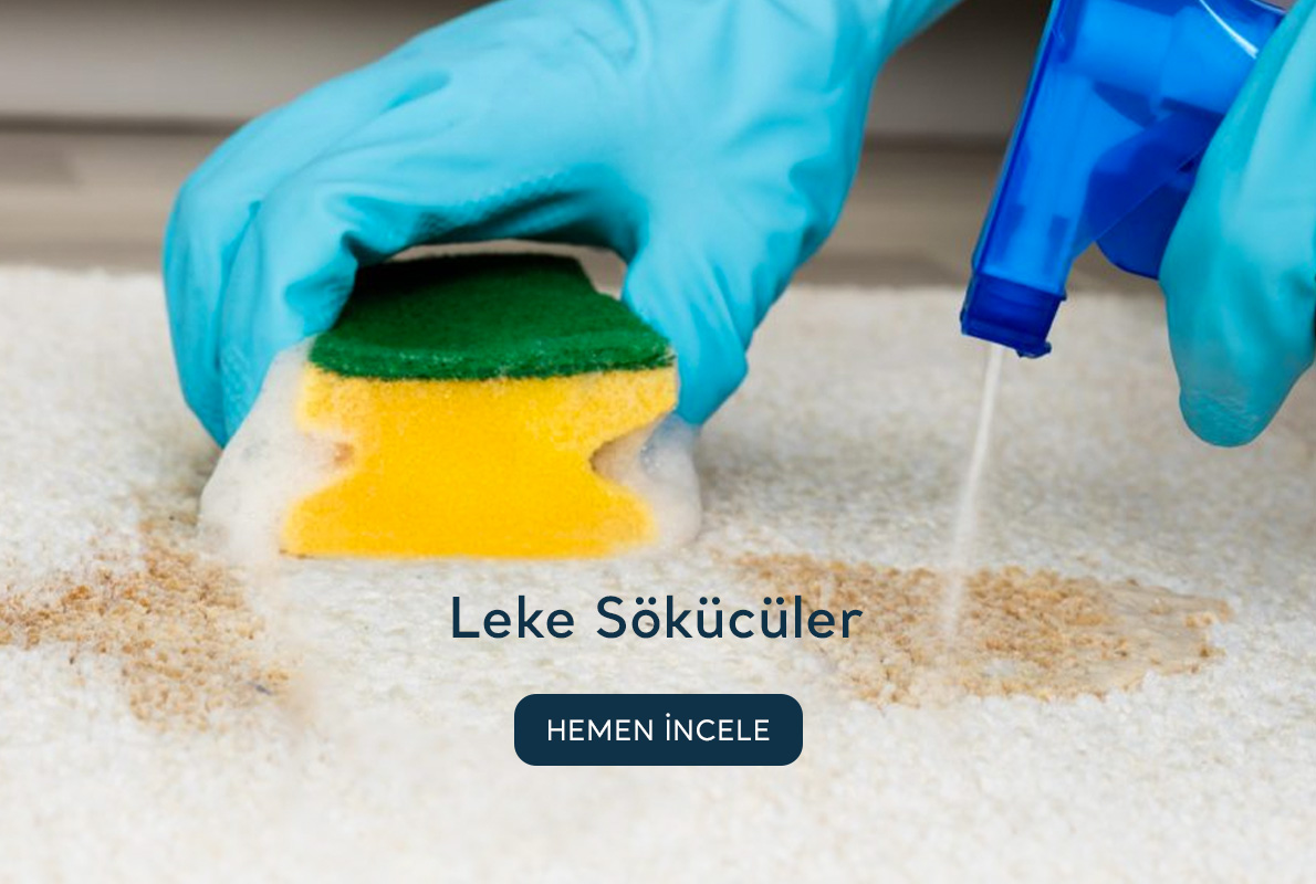 L-banner-1.jpg (533 KB)
